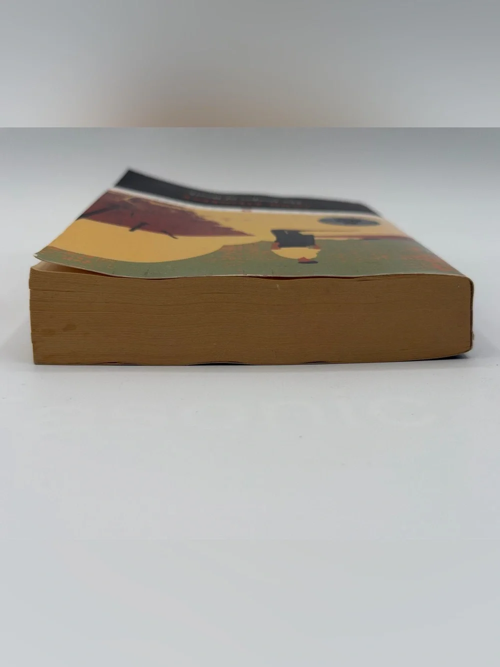 The Grapes of Wrath by John Steinbeck (Paperback Book, 2006)